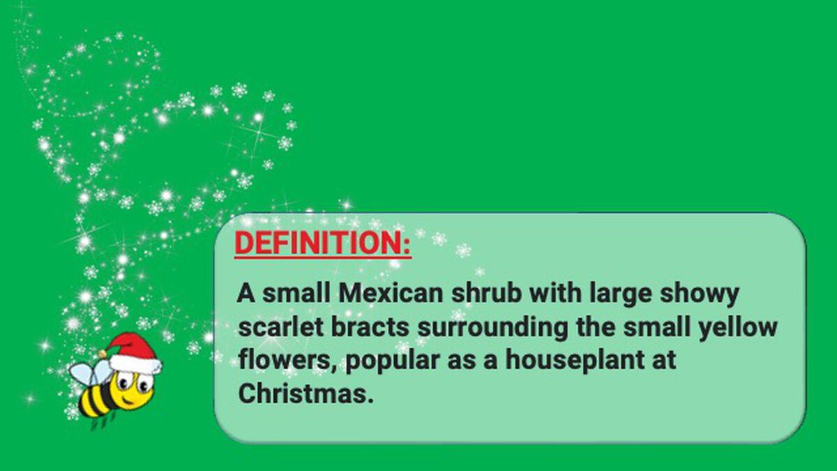 Christmas Spelling Bee image number null